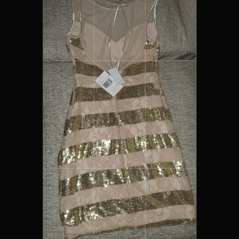 Sparkly Dress